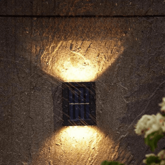 Solora – Let Your Evenings Bloom